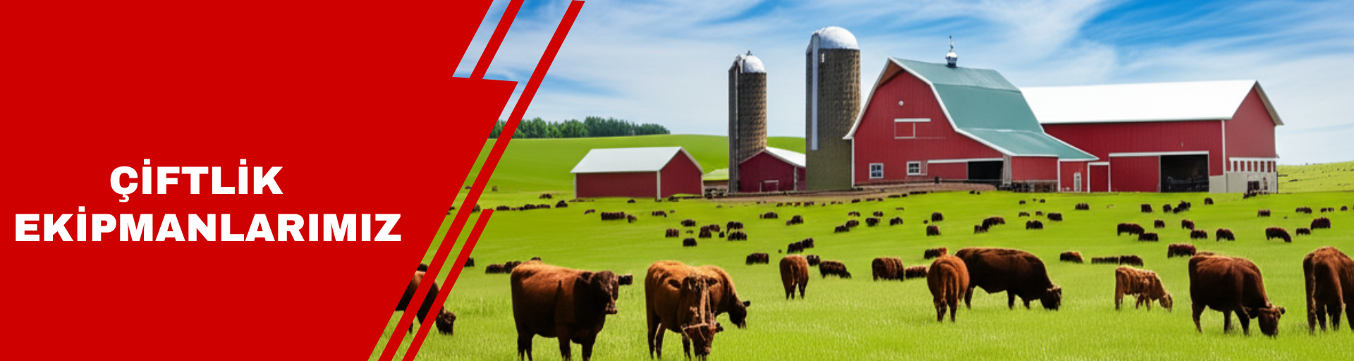 Kaşağı Makinesi Kapak